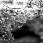 Broken Glass