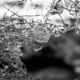 Broken Glass