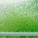 Glass
