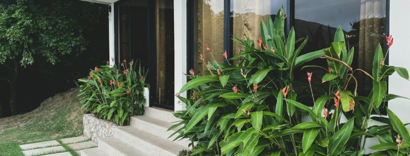 Glass Doors