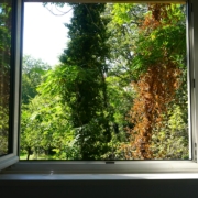 Window Replacement