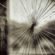 Glass Crack